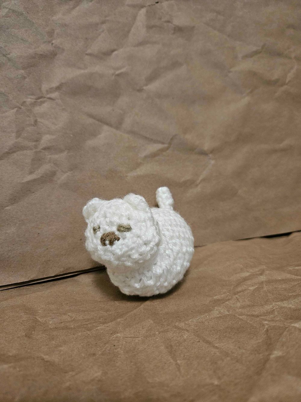 Little Kitty