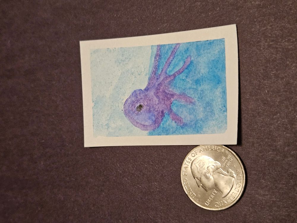 Purple Octopus